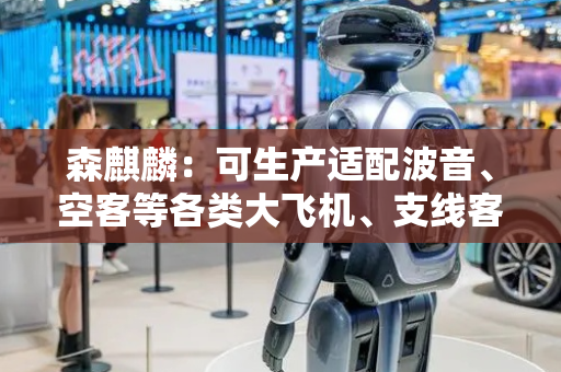 森麒麟：可生产适配波音、空客等各类大飞机、支线客机机型的多规格航空轮胎产品