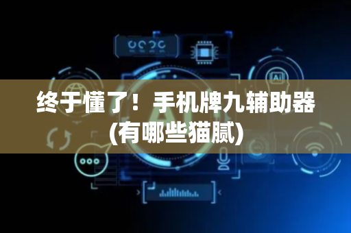 终于懂了！手机牌九辅助器(有哪些猫腻)