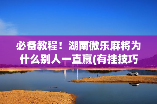 必备教程！湖南微乐麻将为什么别人一直赢(有挂技巧辅助器)