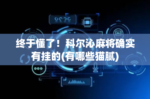 终于懂了！科尔沁麻将确实有挂的(有哪些猫腻)