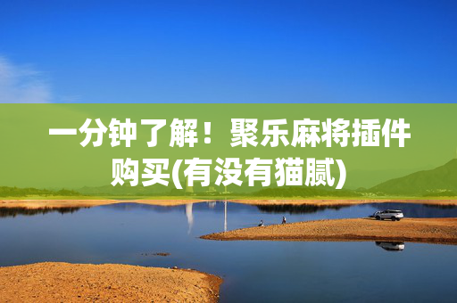 一分钟了解！聚乐麻将插件购买(有没有猫腻)