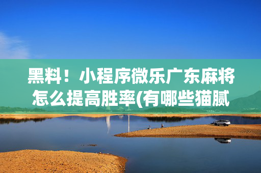 黑料！小程序微乐广东麻将怎么提高胜率(有哪些猫腻)
