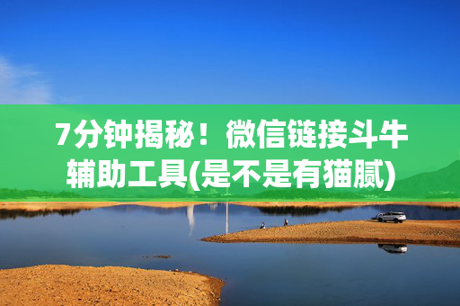 7分钟揭秘！微信链接斗牛辅助工具(是不是有猫腻)