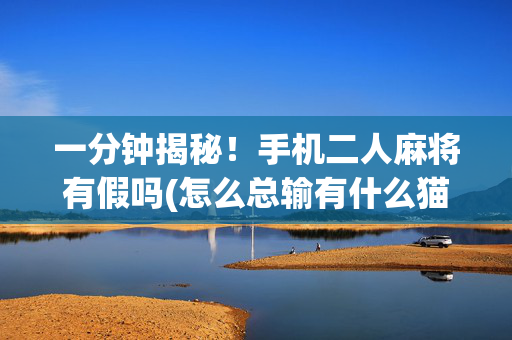 一分钟揭秘！手机二人麻将有假吗(怎么总输有什么猫腻)