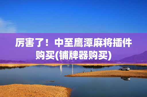 厉害了！中至鹰潭麻将插件购买(铺牌器购买)