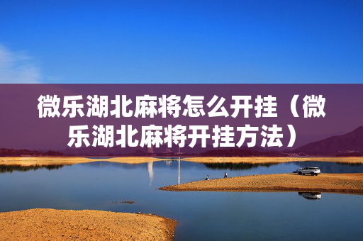 微乐湖北麻将怎么开挂（微乐湖北麻将开挂方法）