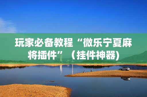 玩家必备教程“微乐宁夏麻将插件”（挂件神器)