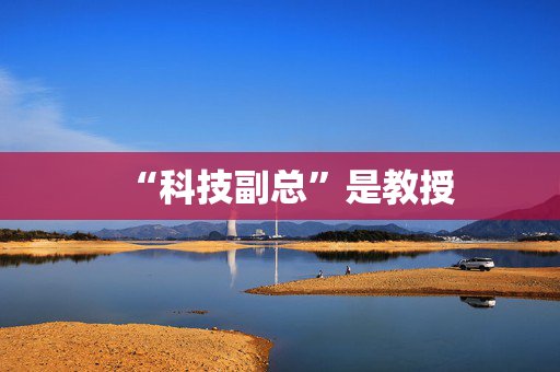 “科技副总”是教授