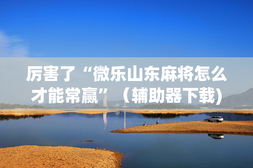 厉害了“微乐山东麻将怎么才能常赢”（辅助器下载)
