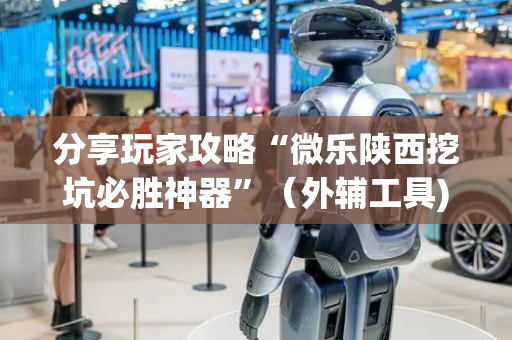 分享玩家攻略“微乐陕西挖坑必胜神器”（外辅工具)