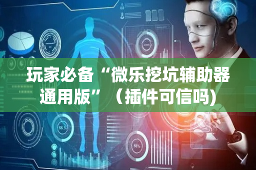 玩家必备“微乐挖坑辅助器通用版”（插件可信吗)