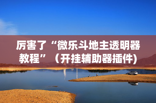 厉害了“微乐斗地主透明器教程”（开挂辅助器插件)