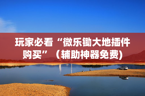 玩家必看“微乐锄大地插件购买”（辅助神器免费)