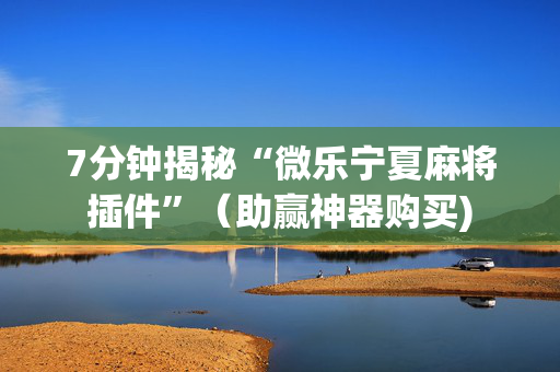 7分钟揭秘“微乐宁夏麻将插件”（助赢神器购买)