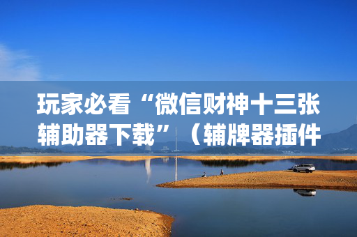 玩家必看“微信财神十三张辅助器下载”（辅牌器插件购买)