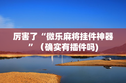 厉害了“微乐麻将挂件神器”（确实有插件吗)