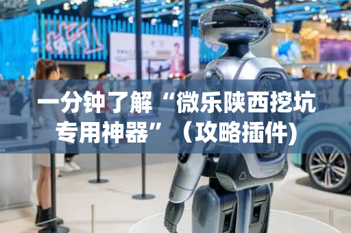 一分钟了解“微乐陕西挖坑专用神器”（攻略插件)