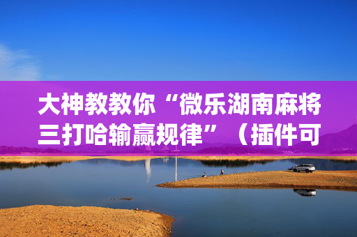 大神教教你“微乐湖南麻将三打哈输赢规律”（插件可信吗)