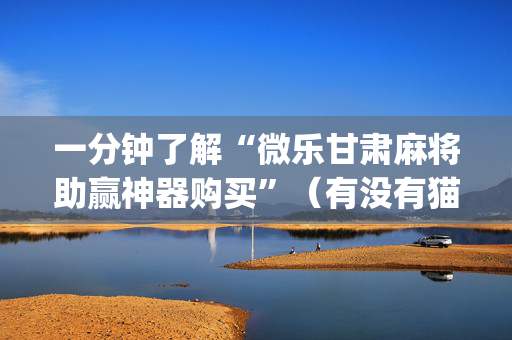 一分钟了解“微乐甘肃麻将助赢神器购买”（有没有猫腻)