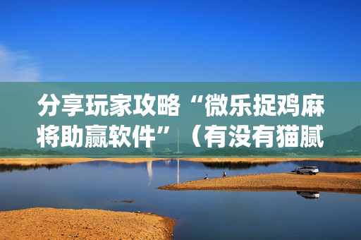 分享玩家攻略“微乐捉鸡麻将助赢软件”（有没有猫腻)