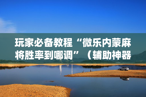 玩家必备教程“微乐内蒙麻将胜率到哪调”（辅助神器免费)