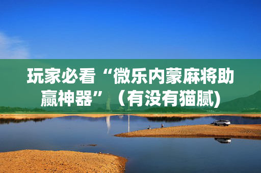 玩家必看“微乐内蒙麻将助赢神器”（有没有猫腻)