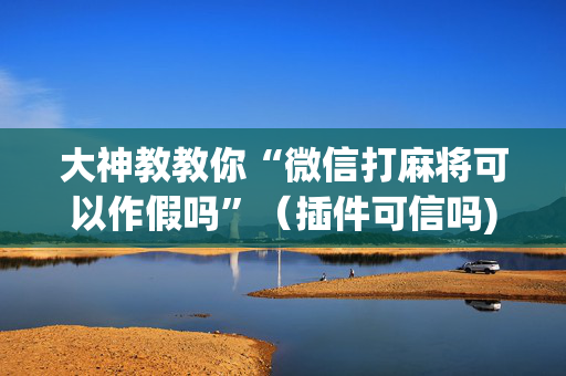 大神教教你“微信打麻将可以作假吗”（插件可信吗)