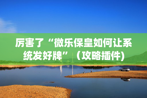 厉害了“微乐保皇如何让系统发好牌”（攻略插件)