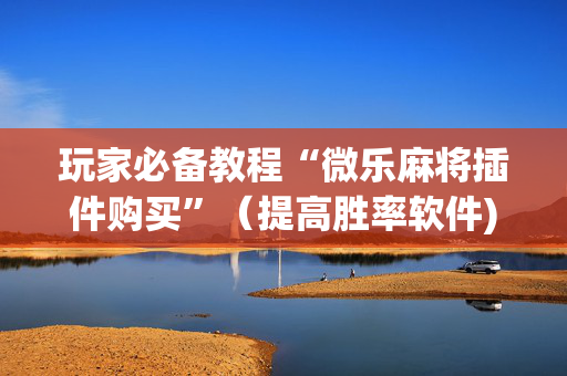 玩家必备教程“微乐麻将插件购买”（提高胜率软件)