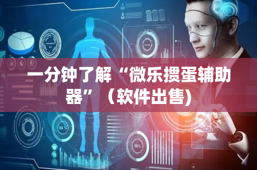 一分钟了解“微乐掼蛋辅助器”（软件出售)