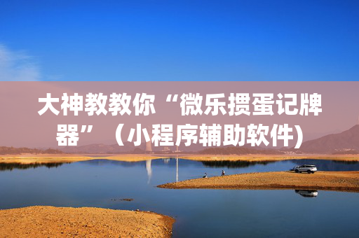 大神教教你“微乐掼蛋记牌器”（小程序辅助软件)