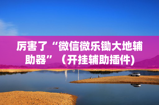厉害了“微信微乐锄大地辅助器”（开挂辅助插件)