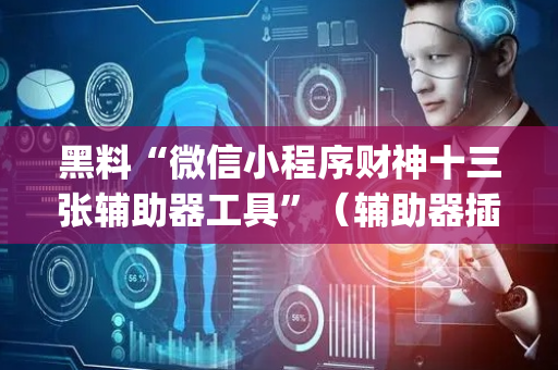 黑料“微信小程序财神十三张辅助器工具”（辅助器插件)