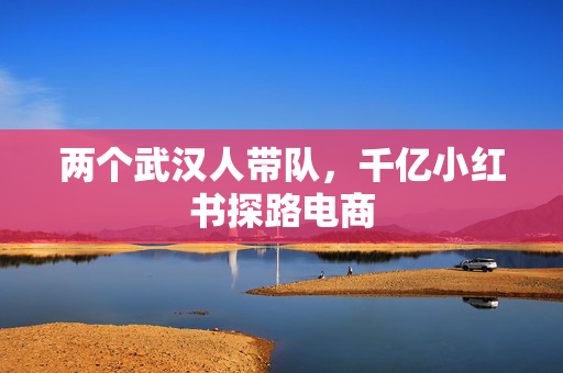 两个武汉人带队，千亿小红书探路电商