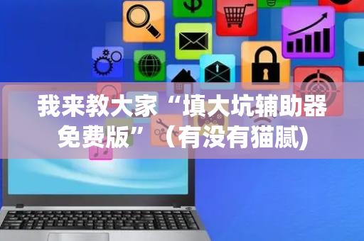 我来教大家“填大坑辅助器免费版”（有没有猫腻)