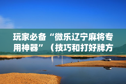 玩家必备“微乐辽宁麻将专用神器”（技巧和打好牌方法)