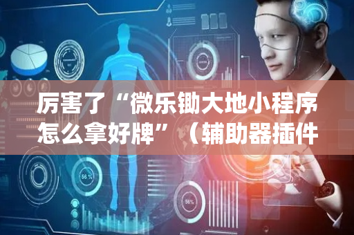 厉害了“微乐锄大地小程序怎么拿好牌”（辅助器插件)