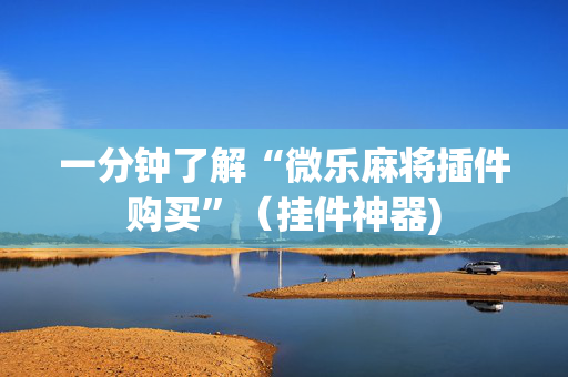 一分钟了解“微乐麻将插件购买”（挂件神器)