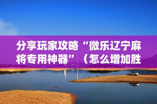 分享玩家攻略“微乐辽宁麻将专用神器”（怎么增加胜率)