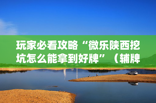 玩家必看攻略“微乐陕西挖坑怎么能拿到好牌”（辅牌器插件购买)