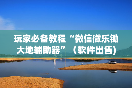 玩家必备教程“微信微乐锄大地辅助器”（软件出售)
