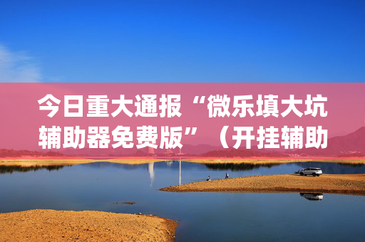 今日重大通报“微乐填大坑辅助器免费版”（开挂辅助器脚本)