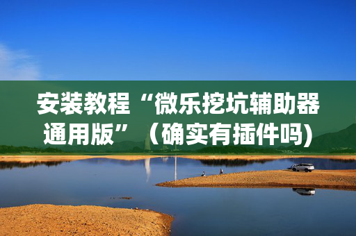 安装教程“微乐挖坑辅助器通用版”（确实有插件吗)