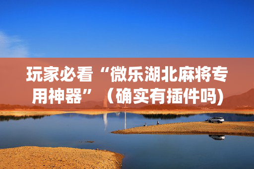 玩家必看“微乐湖北麻将专用神器”（确实有插件吗)