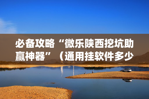 必备攻略“微乐陕西挖坑助赢神器”（通用挂软件多少钱)