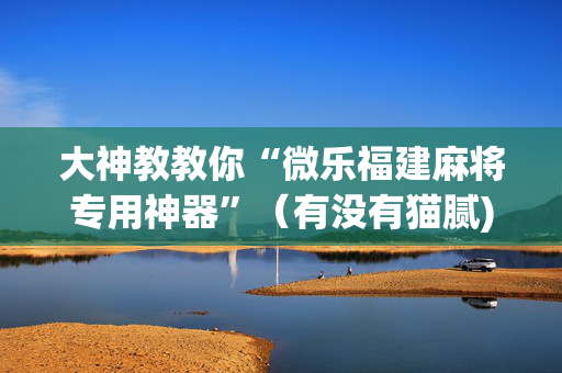 大神教教你“微乐福建麻将专用神器”（有没有猫腻)