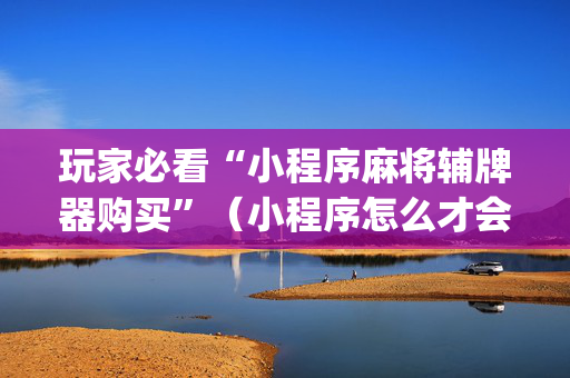 玩家必看“小程序麻将辅牌器购买”（小程序怎么才会赢)