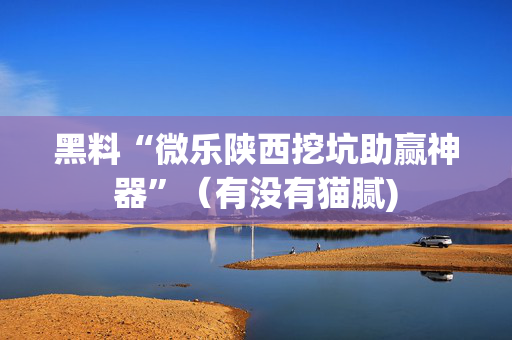 黑料“微乐陕西挖坑助赢神器”（有没有猫腻)