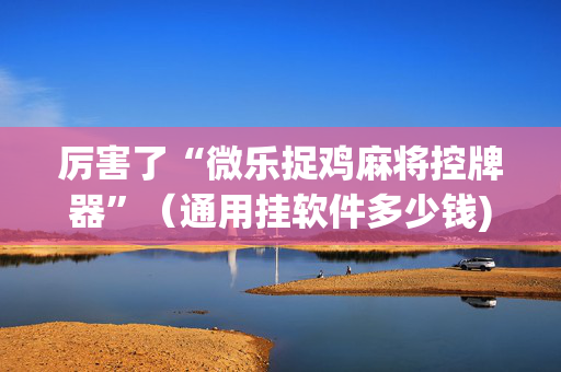 厉害了“微乐捉鸡麻将控牌器”（通用挂软件多少钱)