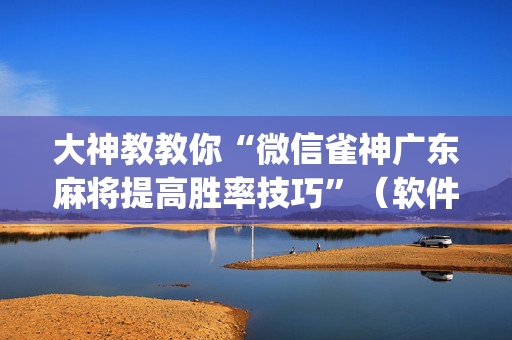 大神教教你“微信雀神广东麻将提高胜率技巧”（软件出售)